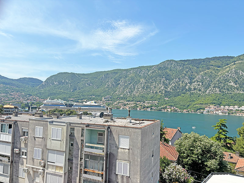 Click on the image to see a larger photo