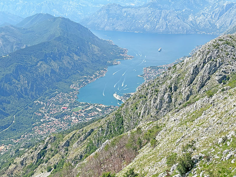 Click on the image to see a larger photo