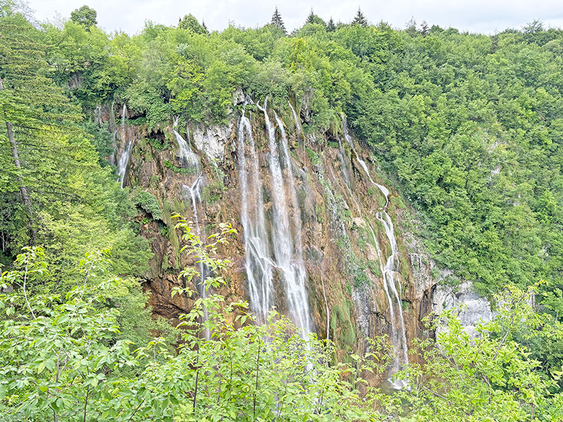 Click on the image to see a larger photo
