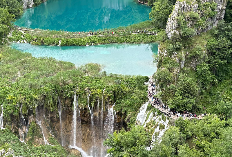 Click on the image to see a larger photo