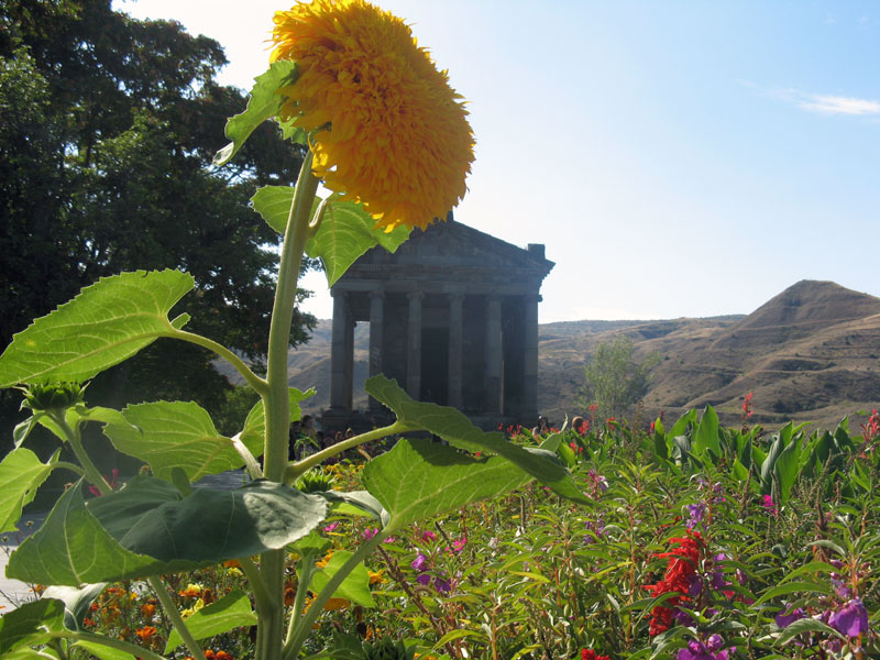 Click to see a larger image