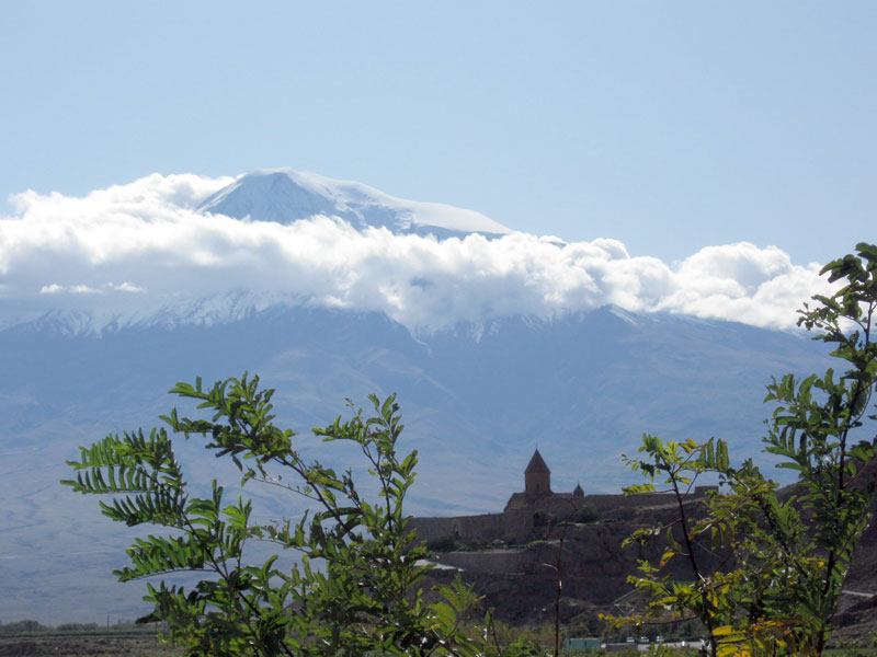 Click to see a larger image