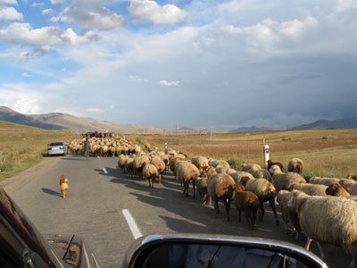 Click to see a larger image