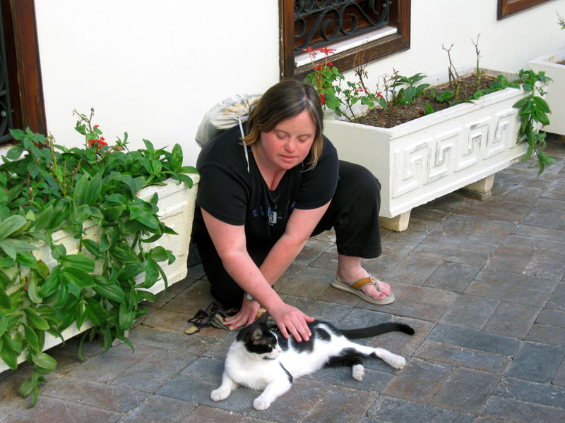 Click to see a larger image