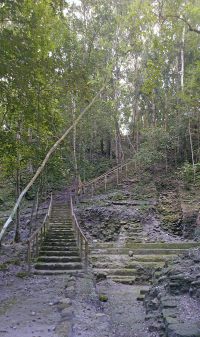 Click on any photo to see a much larger image
