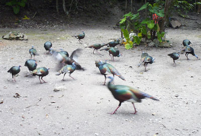 Click on any photo to see a much larger image