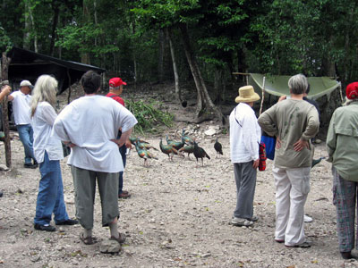 Click on any photo to see a much larger image