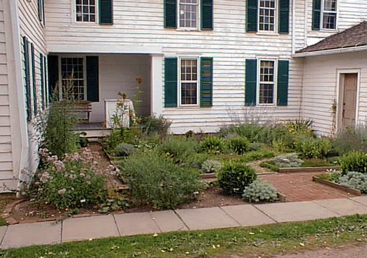 Pratt Museum's precious herb garden, tucked away and well looked after