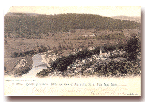 Prattsville in 1906 - click to see full size postcard