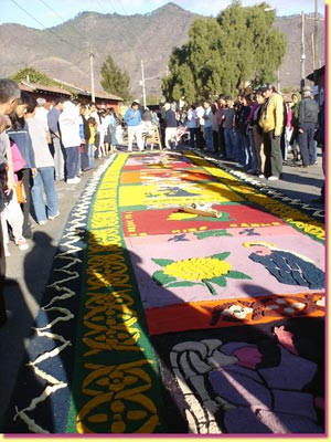 Another of the Calle Ancha carpets, this one curves along the road ... click to see a large image