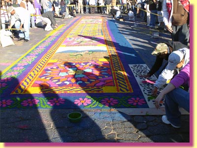 A carpet on Calle Ancha, "Broad Street" is being completed, top right, someone is making the blue border, while his colleagues are racing to place sawdust flowers on top of the border he has just put down ... click to see a large image