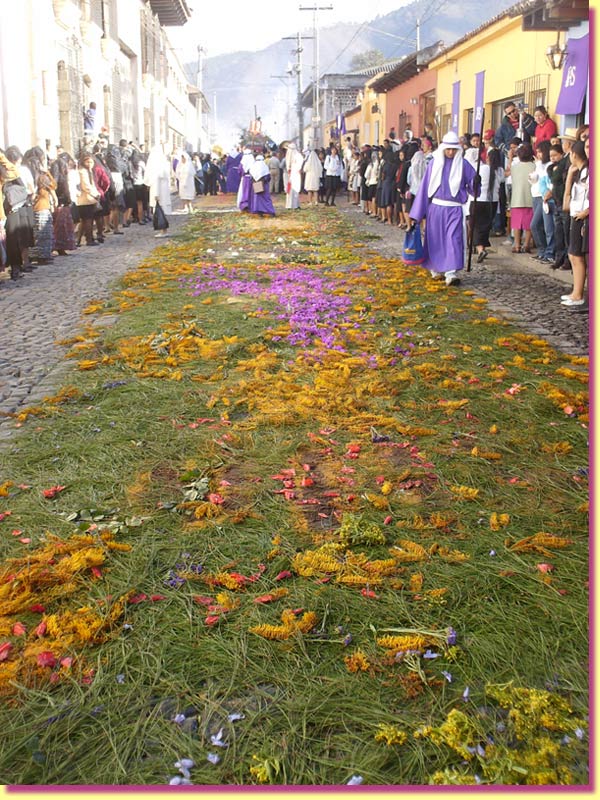 ... and here's the same carpet as on the left, but the procession has passed it and you can see it walking off in the distance ... click to see a large image