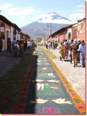 Here's a block-long carpet being completed just half an hour before a procession comes ... click to see a large image 
