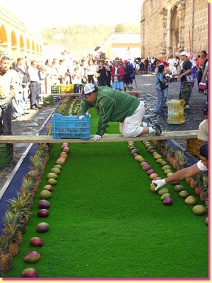 A "carpet" in front of Santa Clara, is being made of lots of ripe mangoes ... click to see a large image