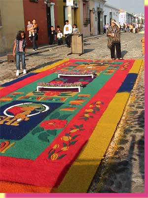 Barbara is examing a carpet on 5th Street early in the morning - click to see a larger image