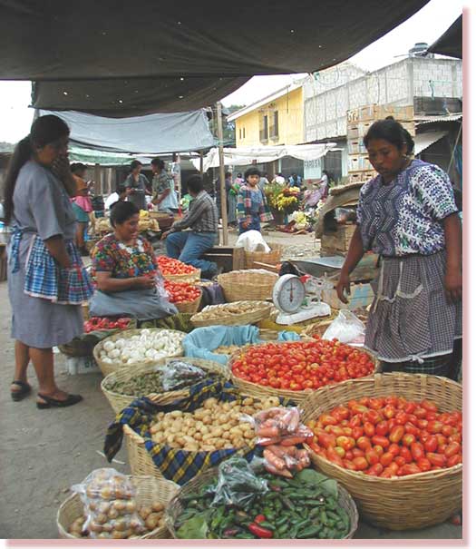 Local market, May 2002, our house is behind