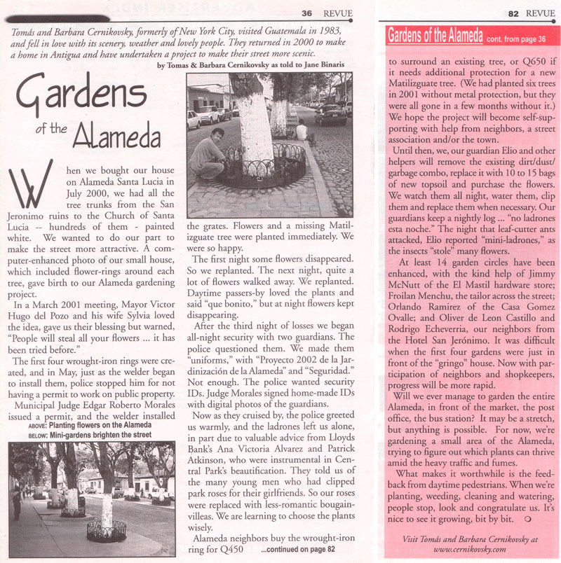 REVUE article ... coming up ... large image .. wait a moment, please