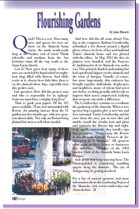 REVUE article ... coming up ... large image .. wait a moment, please