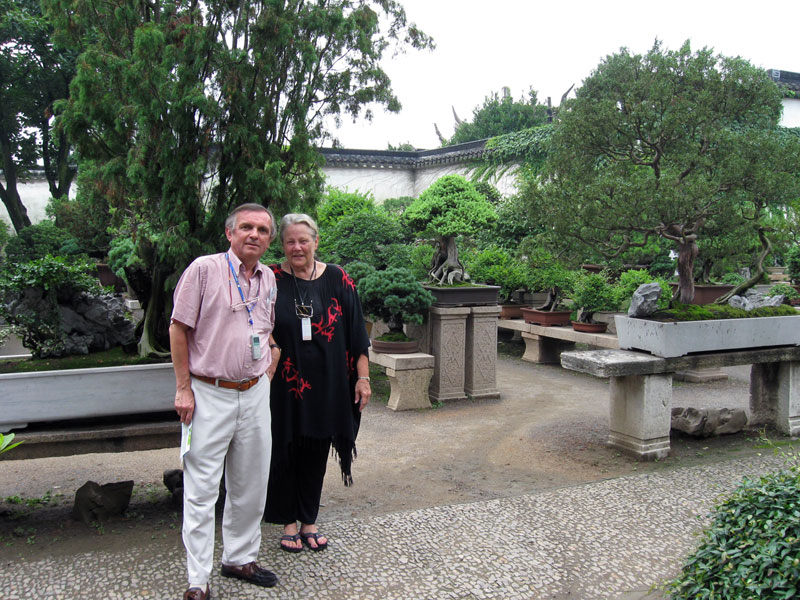 Bonsai garden ... click to see a larger image