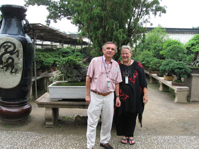Humble Administrator's bonsai garden ... click to see a large image.
