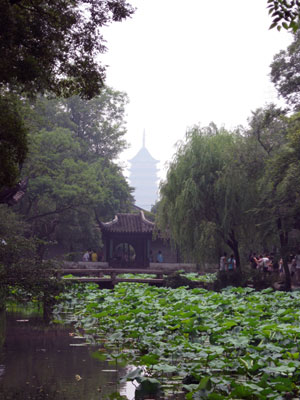 A view acros the garden, with waterlilies in the pond ... click to see a much larger image 