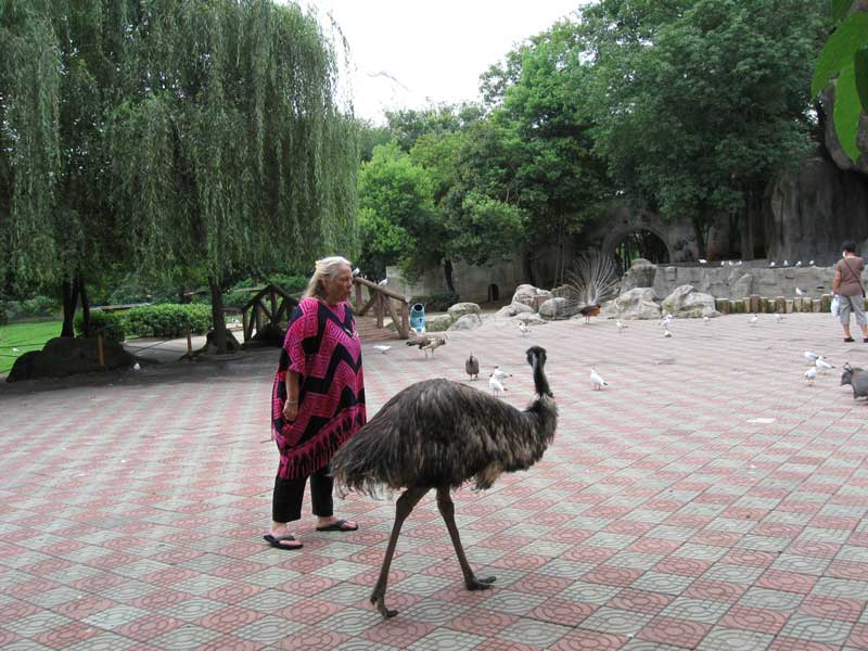 Barbara talks to an Emu ... click to see a larger image