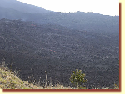Pacaya Volcano