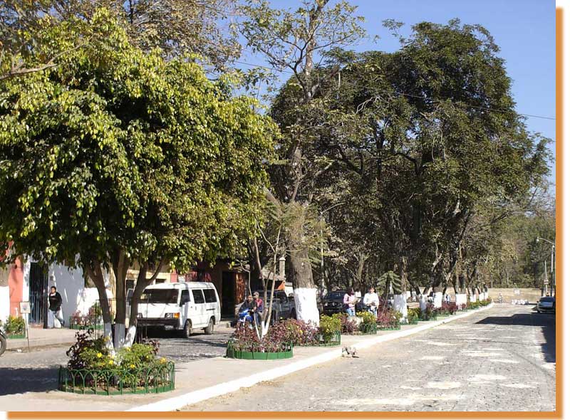 Welcome to the newly restored and painted Alameda Santa Lucia